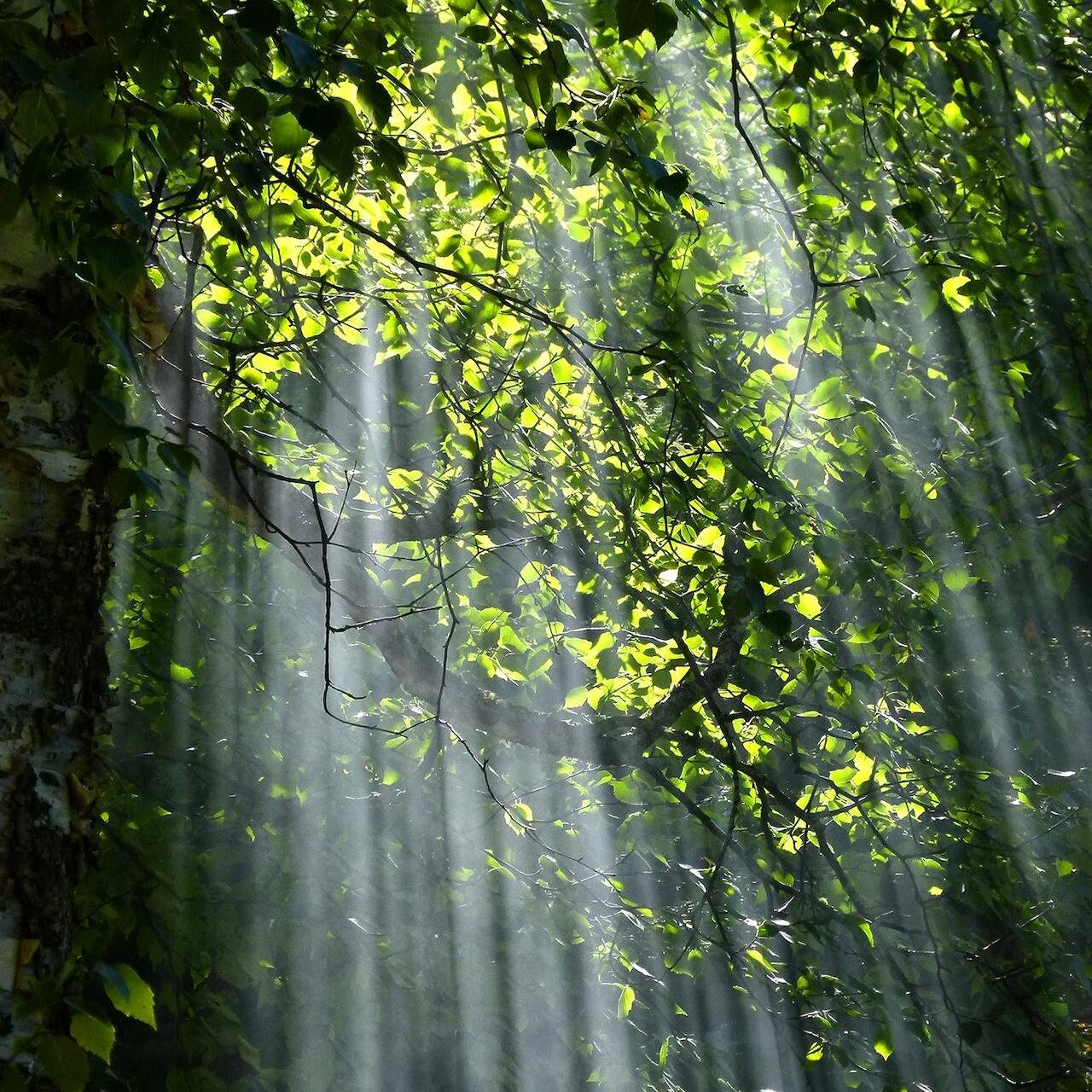 Lumen in Unreal Engine 5: Echtzeit-Beleuchtung erklärt