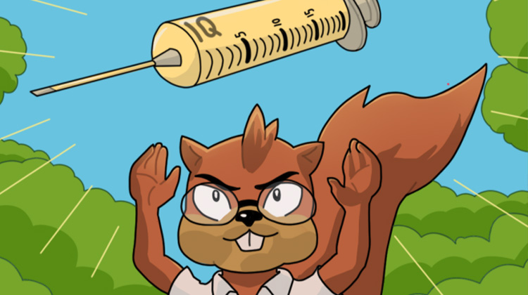 Squirrel King